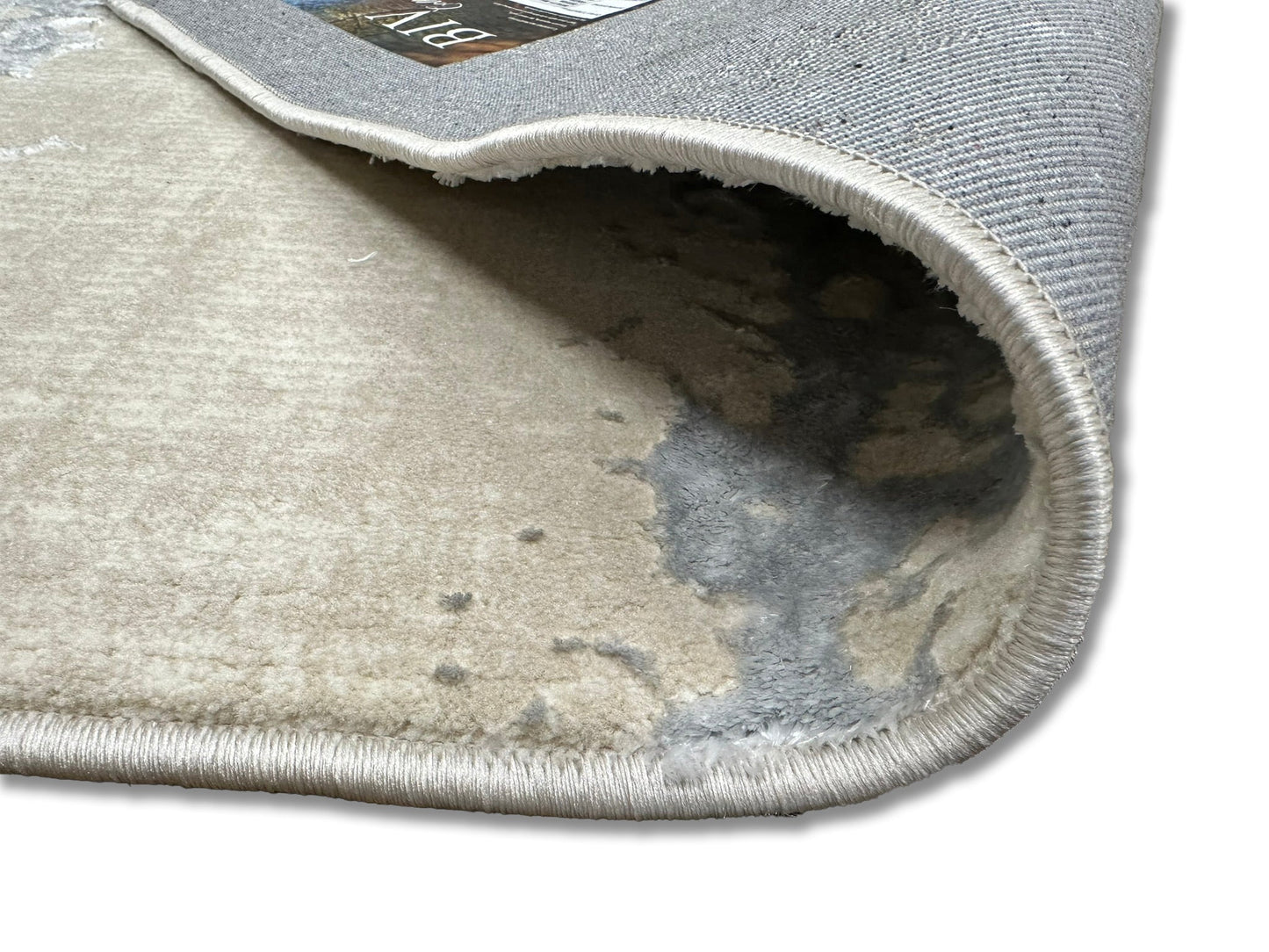 Biv Infusion Indoor | Outdoor Area Rug, Beige & Silver