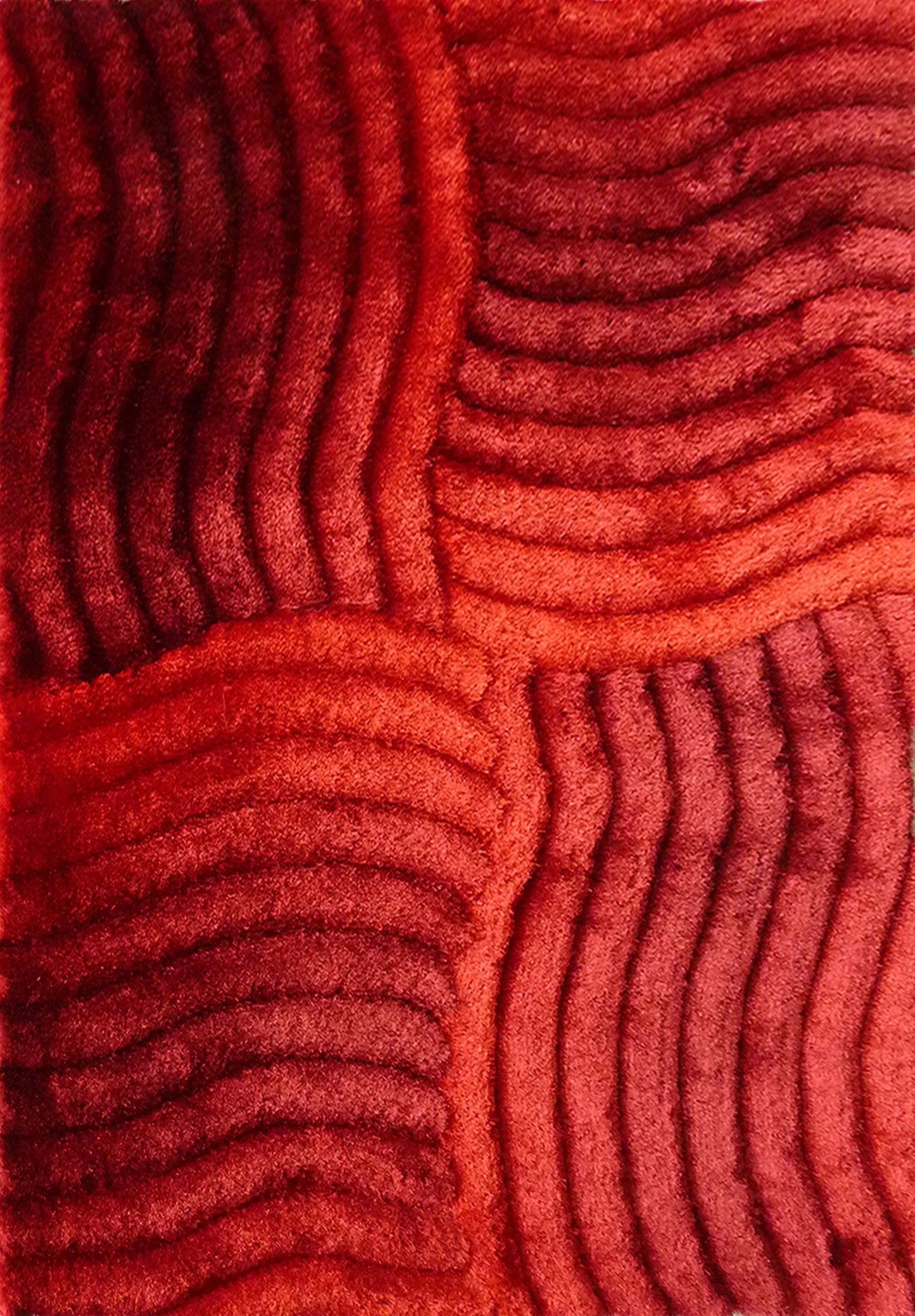 3D Four Winds Shag Area Rug, Assorted Multicolor