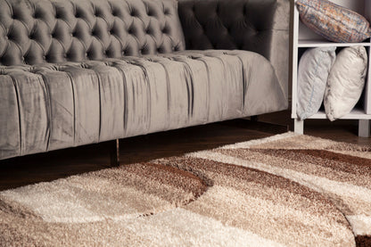 Sorrento 3D Pole Shift Shag Area Rug, Earth