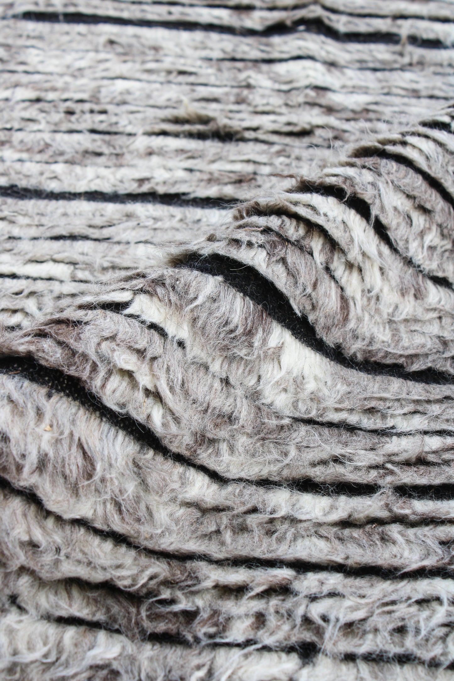 Finite Mosaics, Cryptic Genome Area Rug, Gray & Black