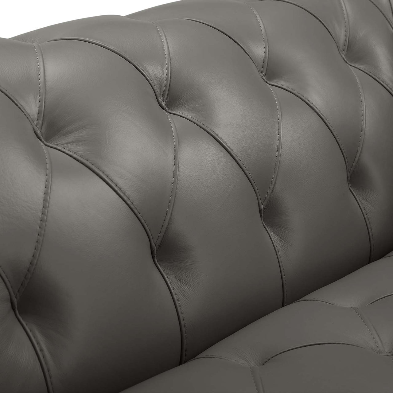 Luxerio Leather Loveseat, Gray