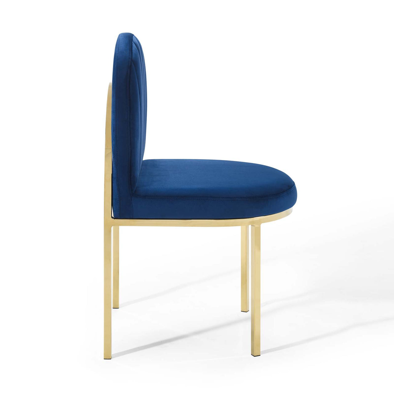 Bivalve Velvet Dining Chair, Gold & Navy