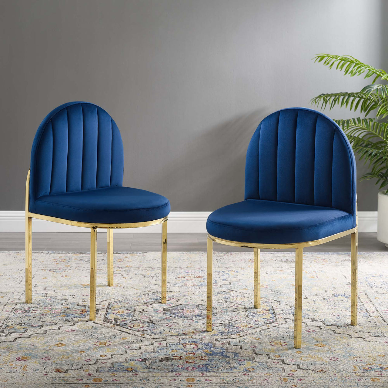 Bivalve Velvet Dining Chair Set of 2, Gold & Navy