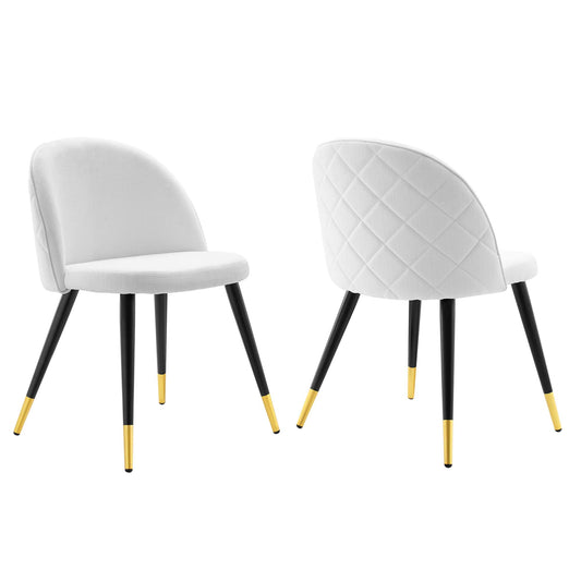 Adamantitus Dining Chair Set of 2, White