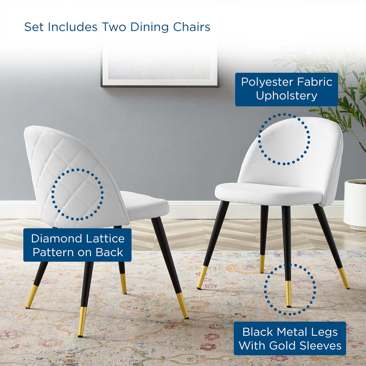Adamantitus Dining Chair Set of 2, White