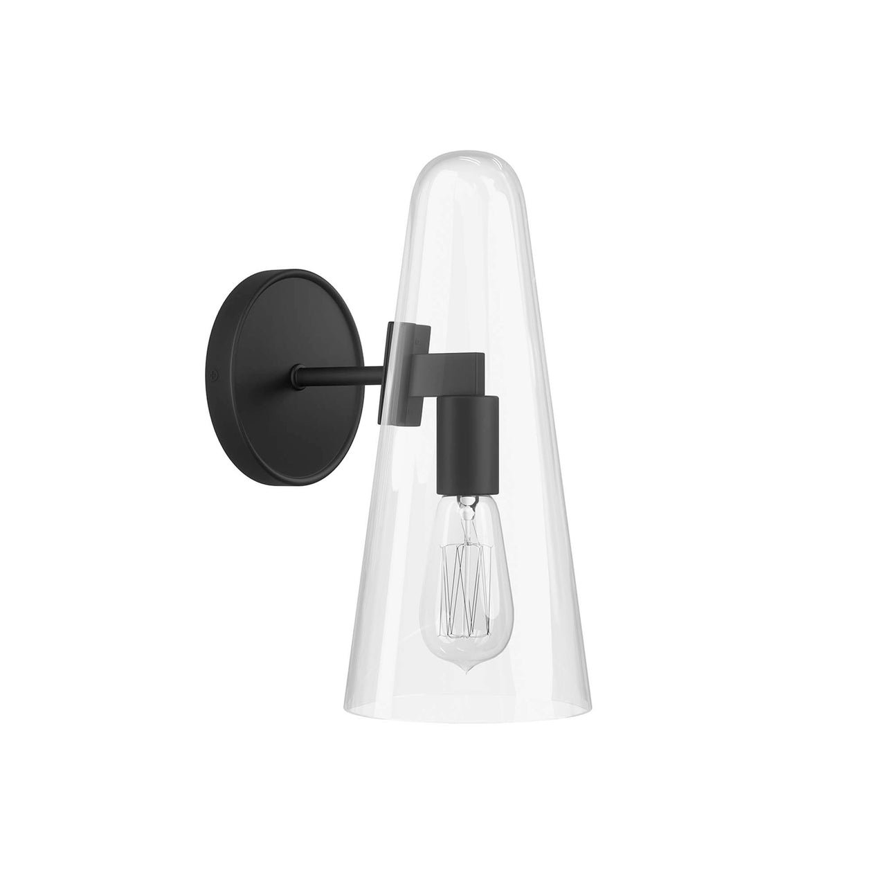 Lucen 1-Light Wall Sconce, Clear & Black
