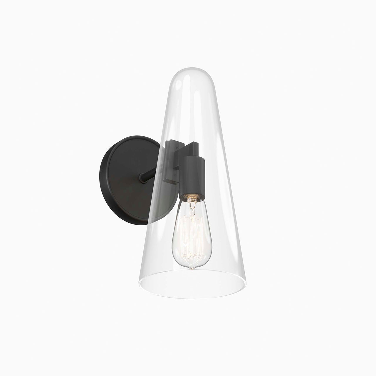 Lucen 1-Light Wall Sconce, Clear & Black