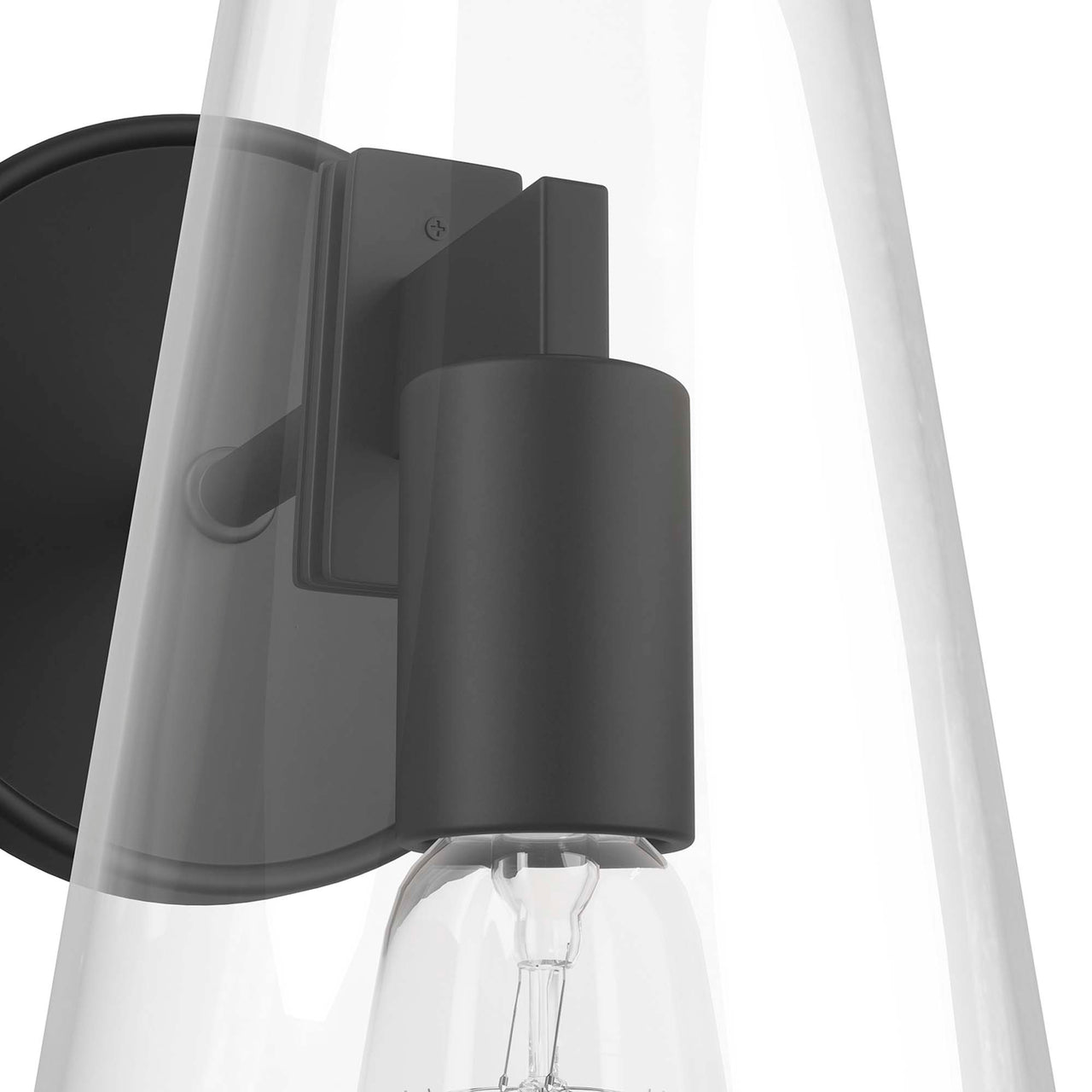 Lucen 1-Light Wall Sconce, Clear & Black