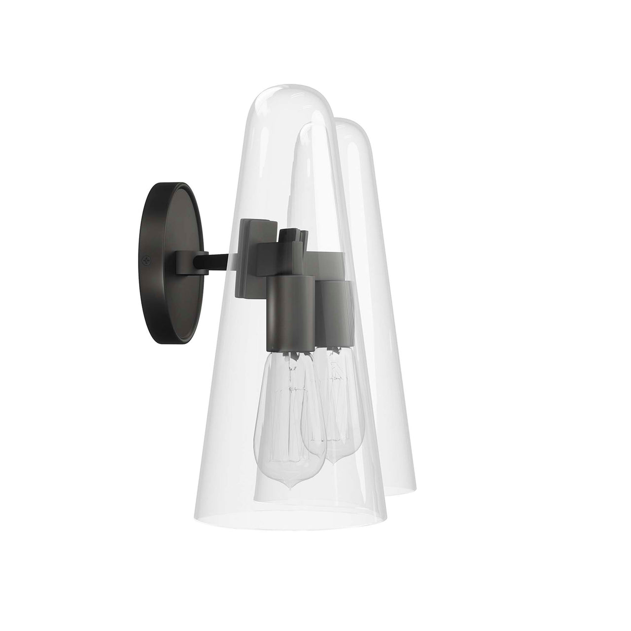 Lucen 2-Light Wall Sconce, Clear & Black