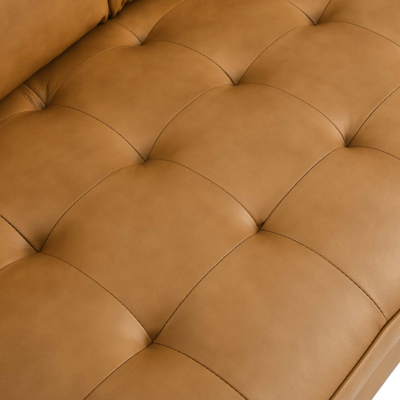 Bravien Leather Loveseat, Tan