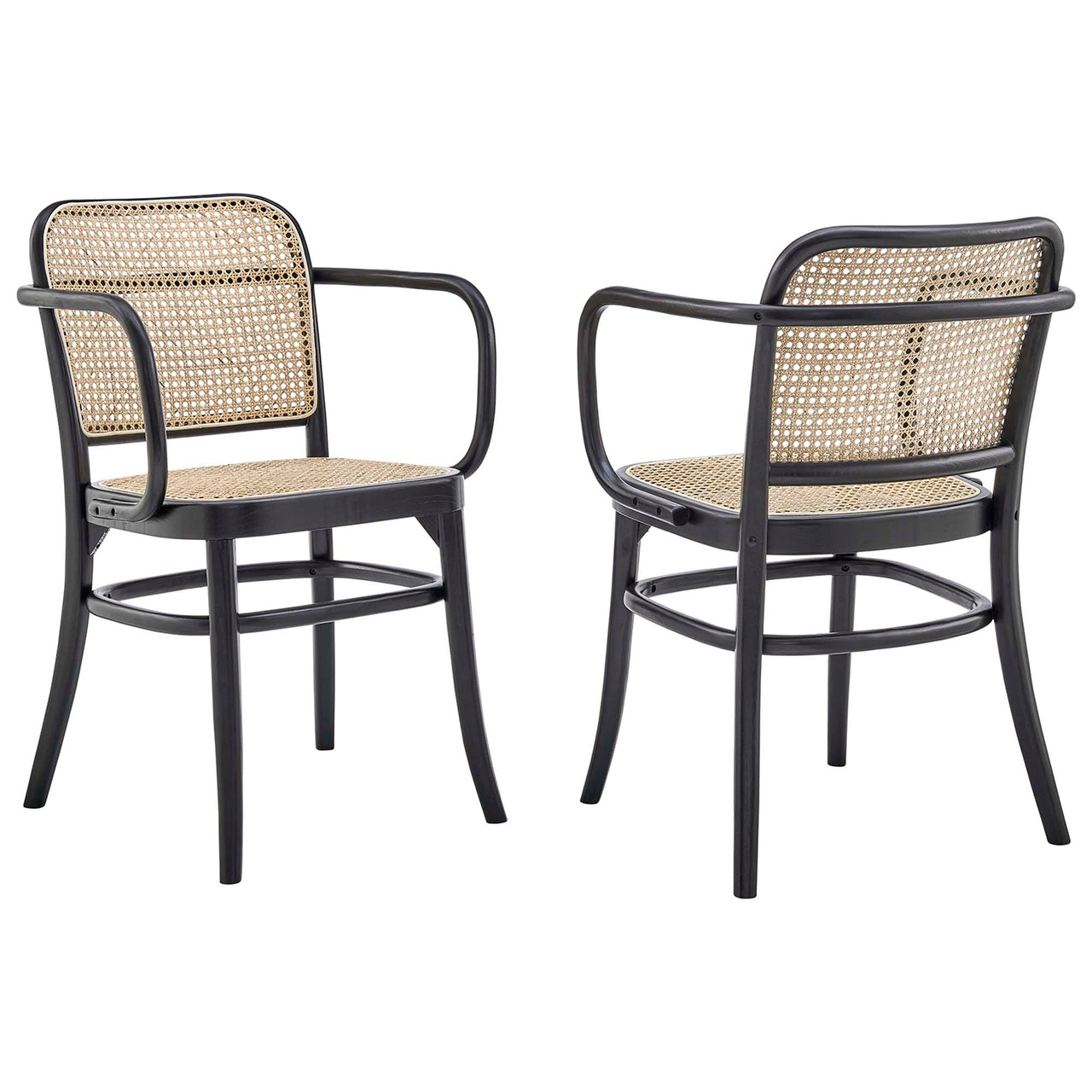 Beecatcher Dining Chair Set of 2, Black