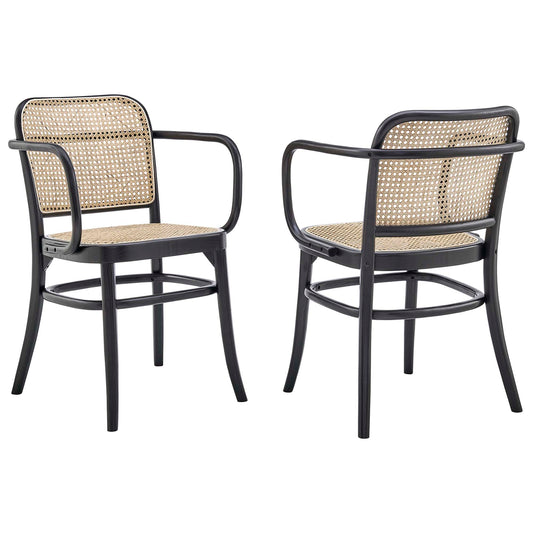Beecatcher Dining Chair Set of 2, Black