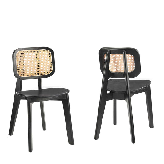 Lattice Dining Chair Set of 2, Black