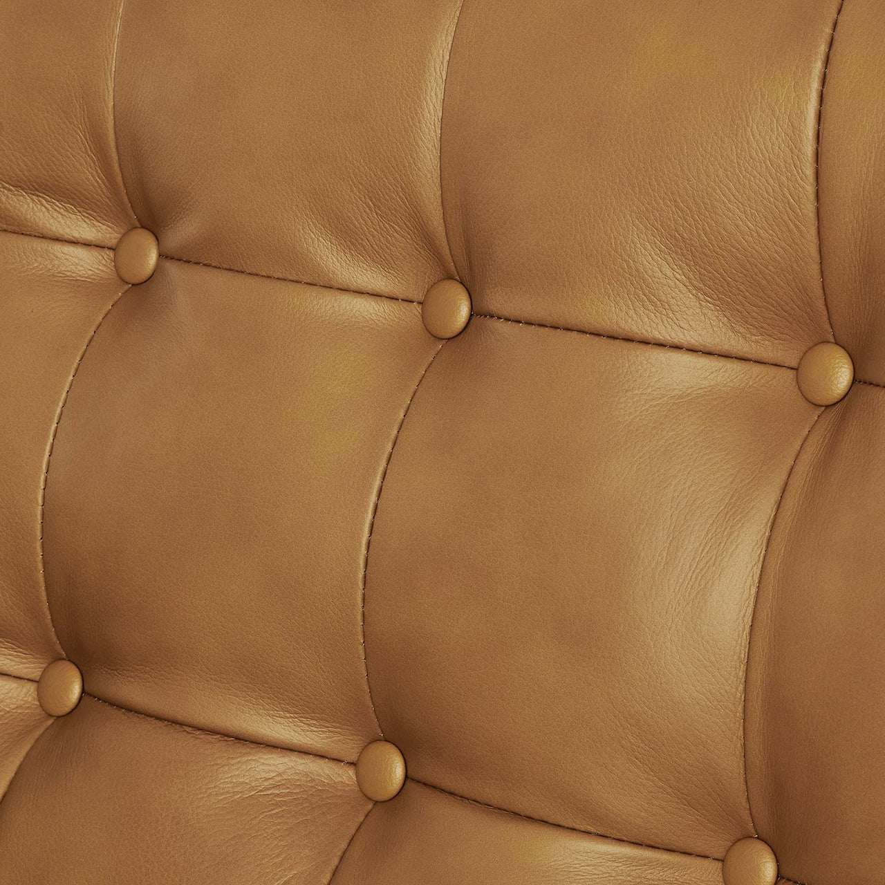 Lucera Leather Loveseat, Tan