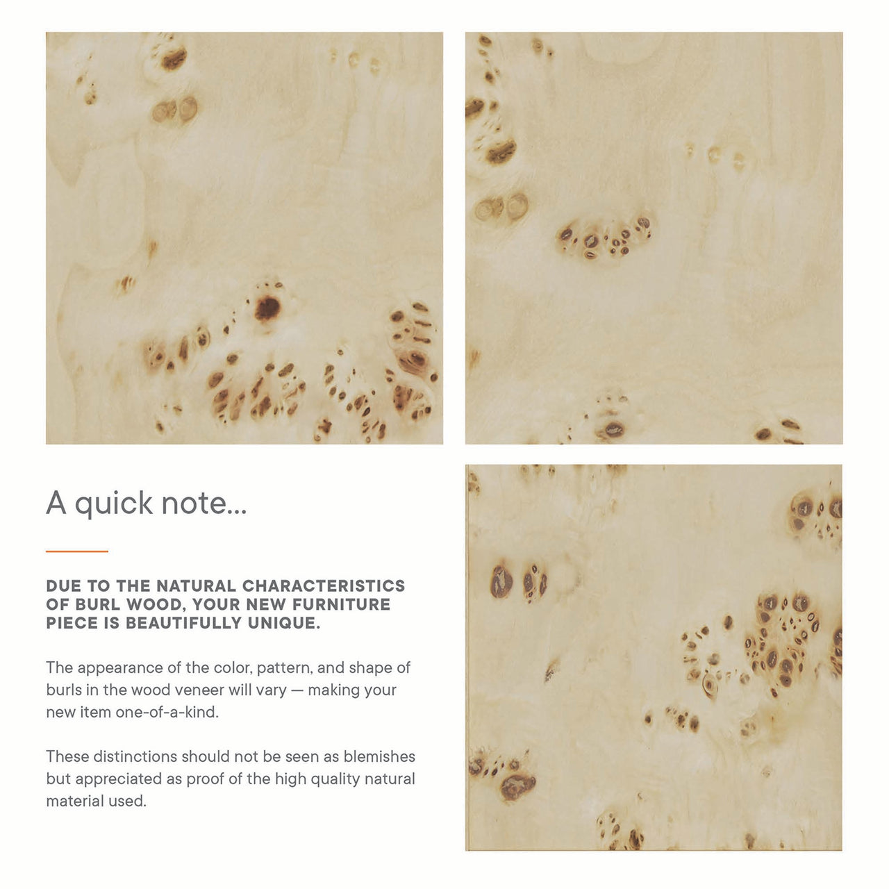 Elaria Vanity Base with Storage, Large, Cream