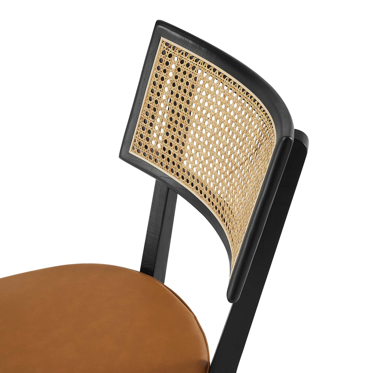 Carriselle Eco-Leather Dining Chair Set of 2, Black & Tan