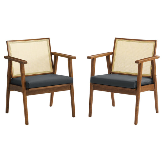 Demeter Eco-Leather Accent Chair Set of 2, Walnut & Black
