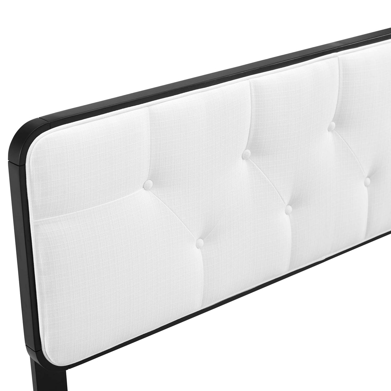 Starstruck Upholstered Twin Headboard, Black & White