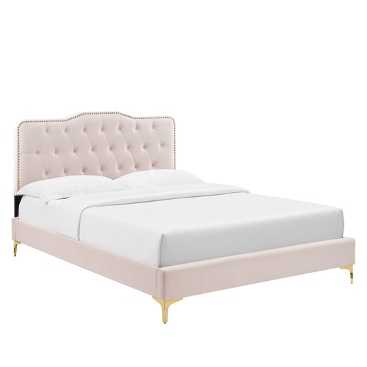 Marcelle Velvet Queen Platform Bed w/ Metal Legs, Pink