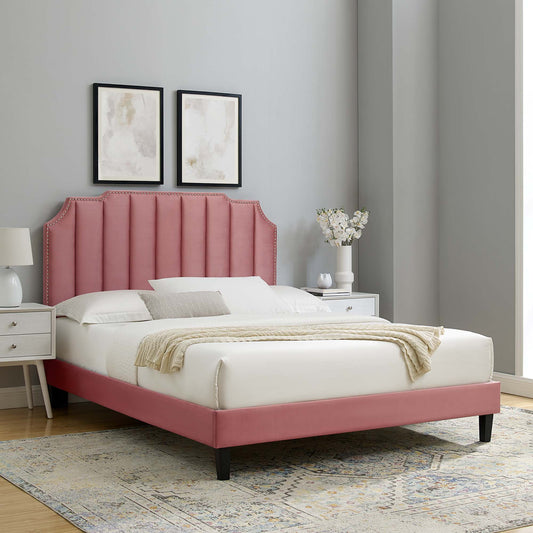 Chalette Velvet King Platform Bed, Dusty Rose & Black