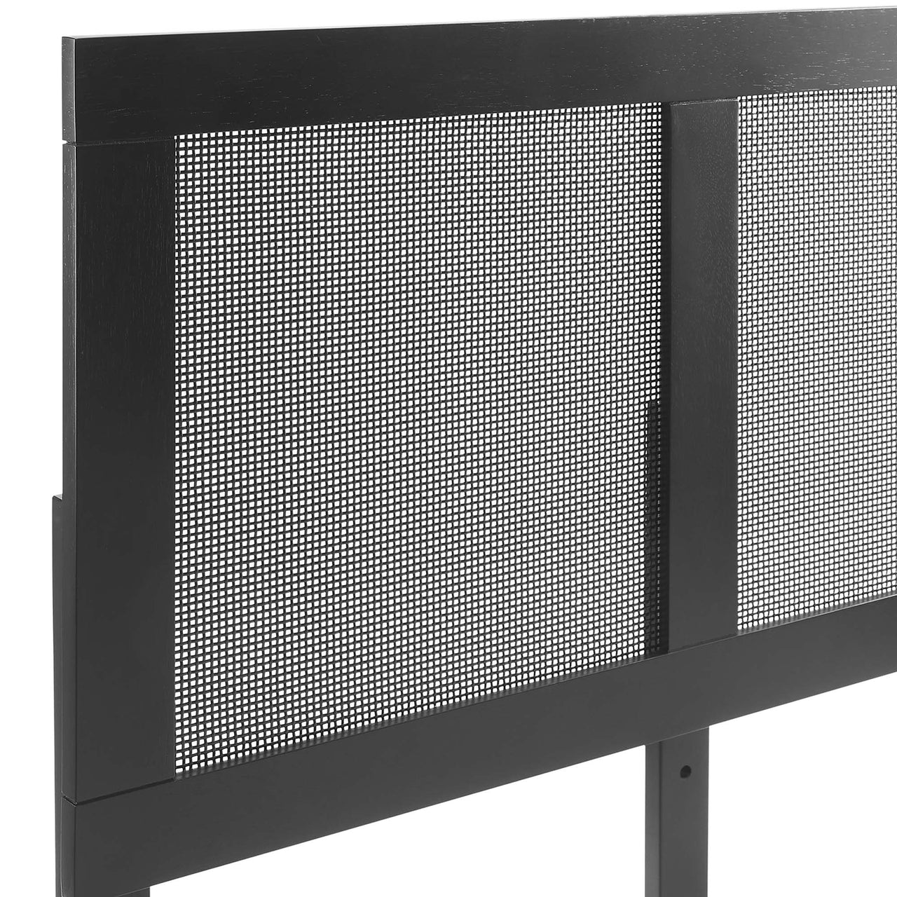 Netun Queen Platform Bed, Black