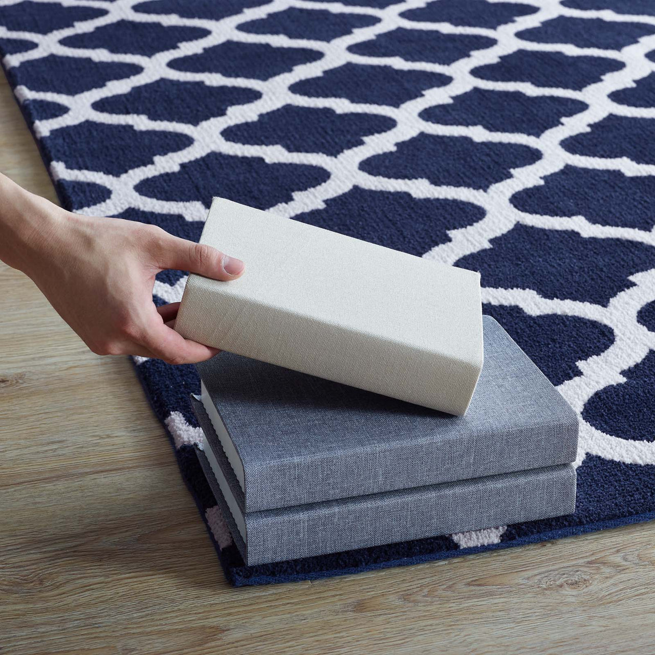 Chakra Muladhara 8x10 Area Rug, Navy & Ivory