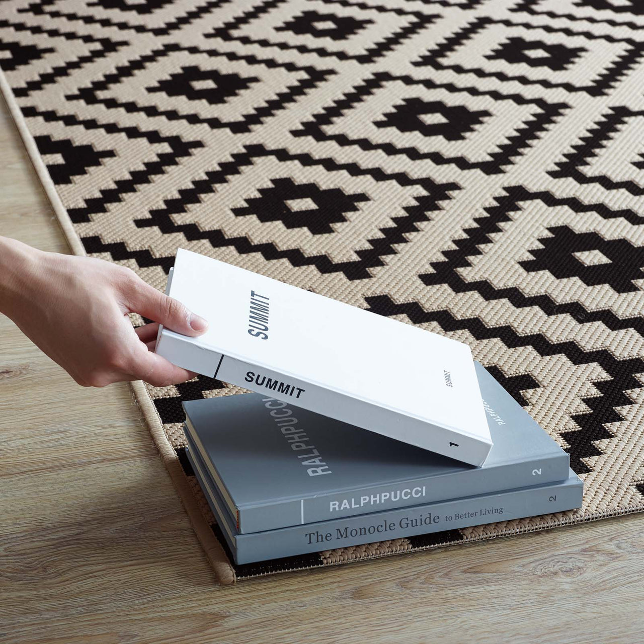 Aligned Intentions Indoor | Outdoor 8x10 Area Rug, Black & Beige