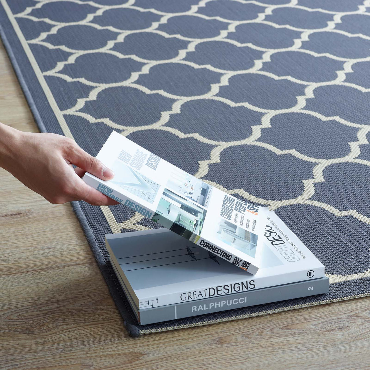 Zahara Scale Indoor | Outdoor 8x10 Area Rug, Blue & Beige