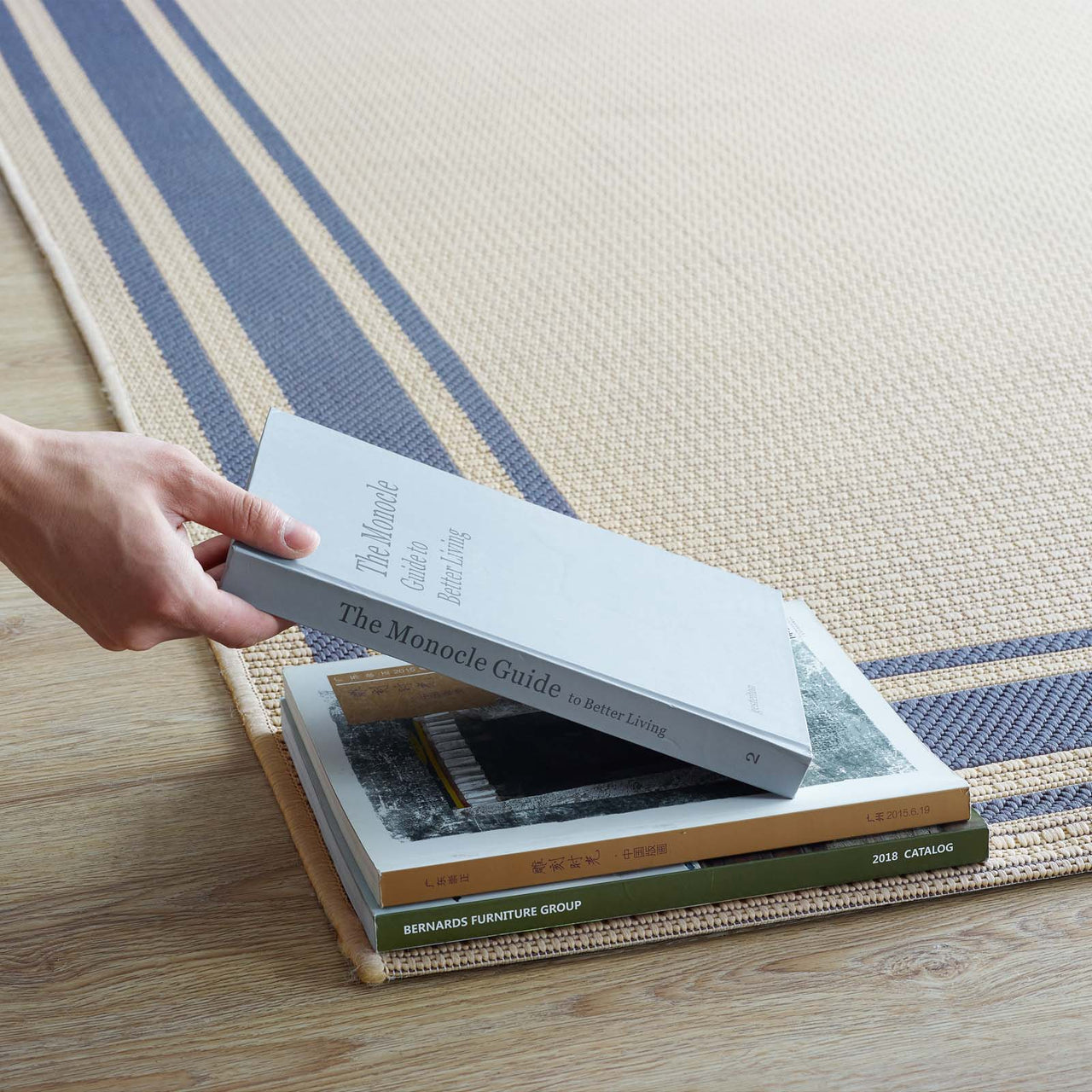 Proteger Indoor | Outdoor 5x8 Area Rug, Blue & Beige