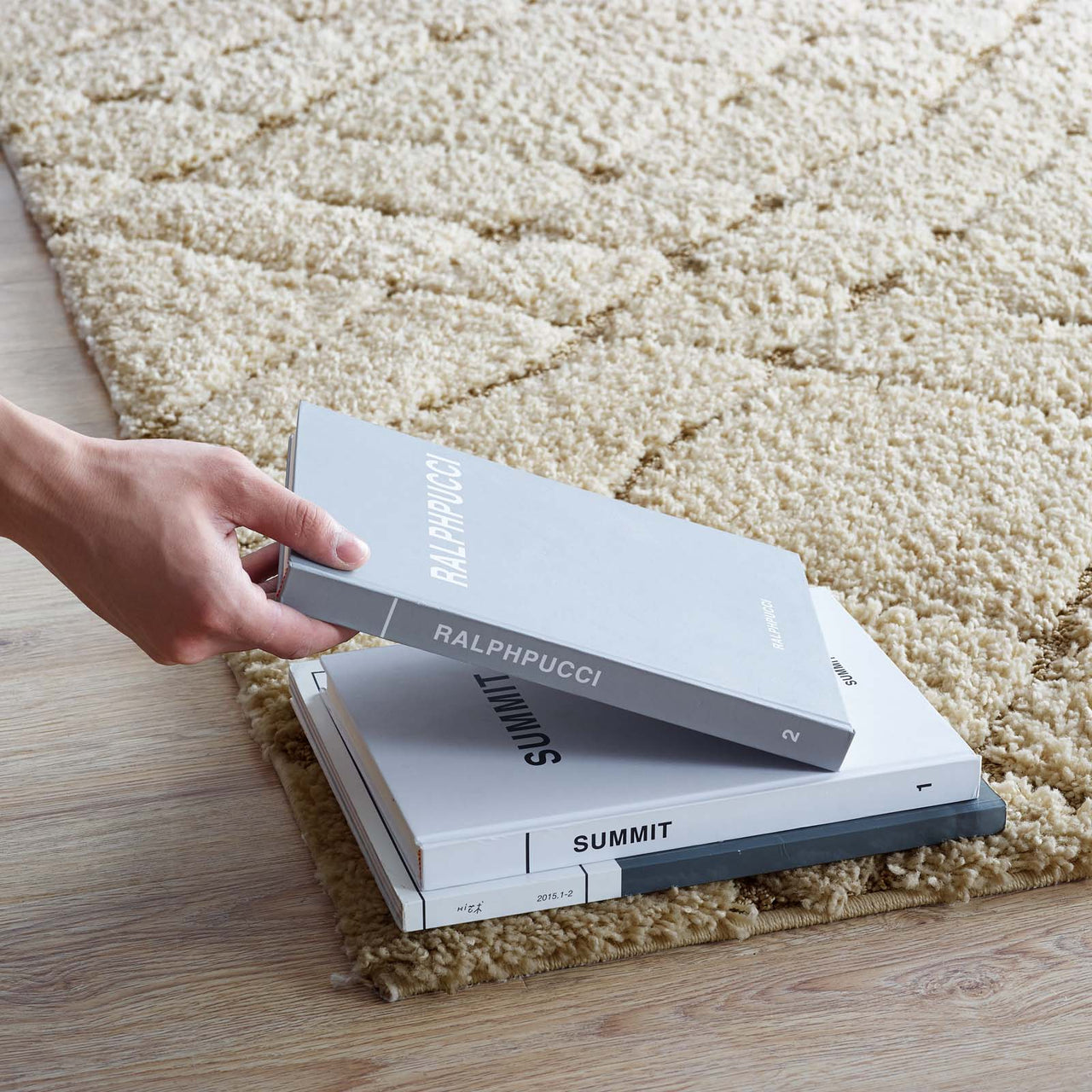 Floriva Alignment Shag 5x8 Area Rug, Cream & Beige