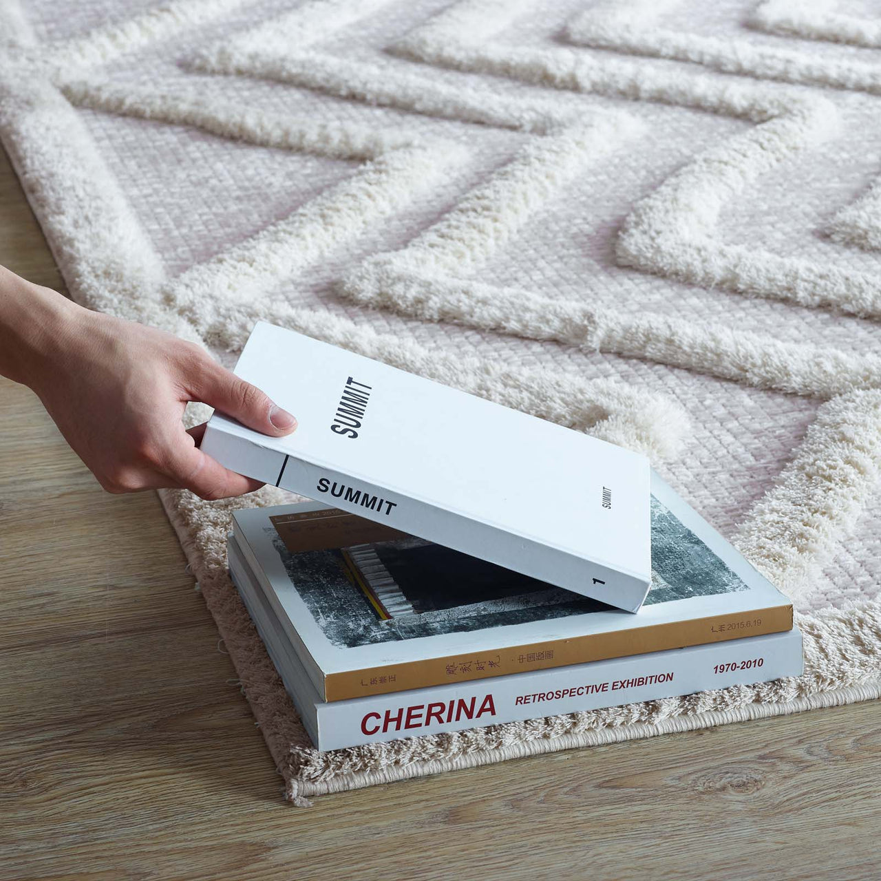 Mischievous Actions Shag 5x8 Area Rug, Ivory & Light Gray