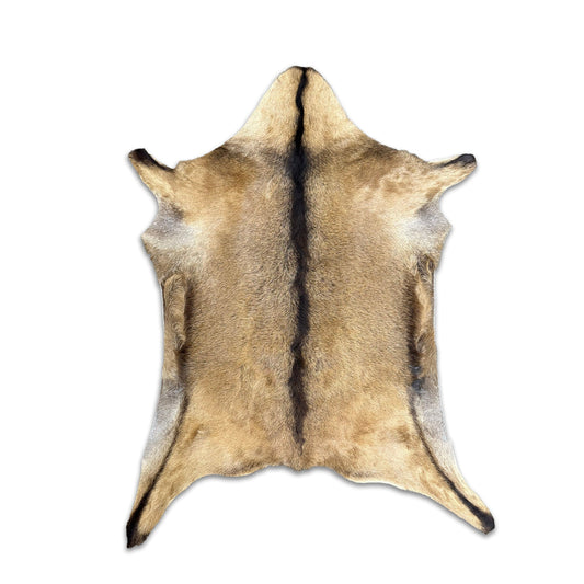 Authentic Leather Hides, Goat Leather Hide Area Rug, Assorted Natural