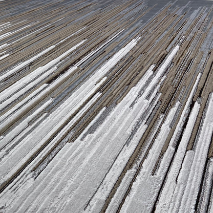 Maximus Harmonic Frequency Indoor | Outdoor Area Rug, Gray & Platinum